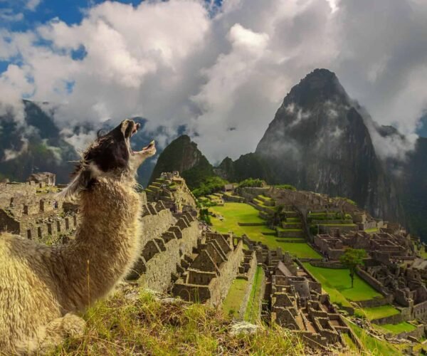 Ultimate Guide to the Wonders of the World: Ancient, Natural, and New