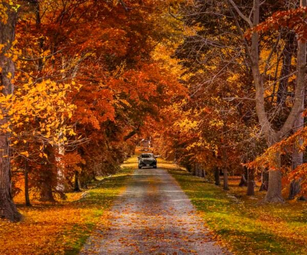 Best Day Trips from Toronto for 2025: Top 24 Escapes