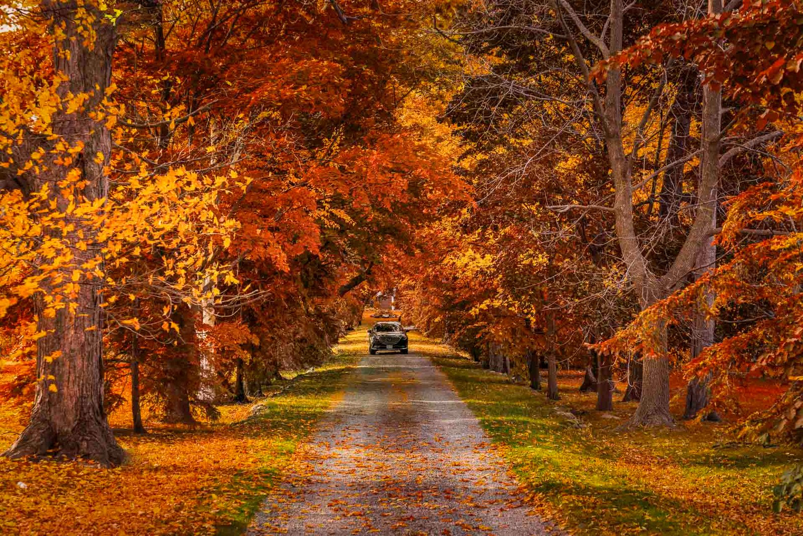 Best Day Trips from Toronto for 2025: Top 24 Escapes