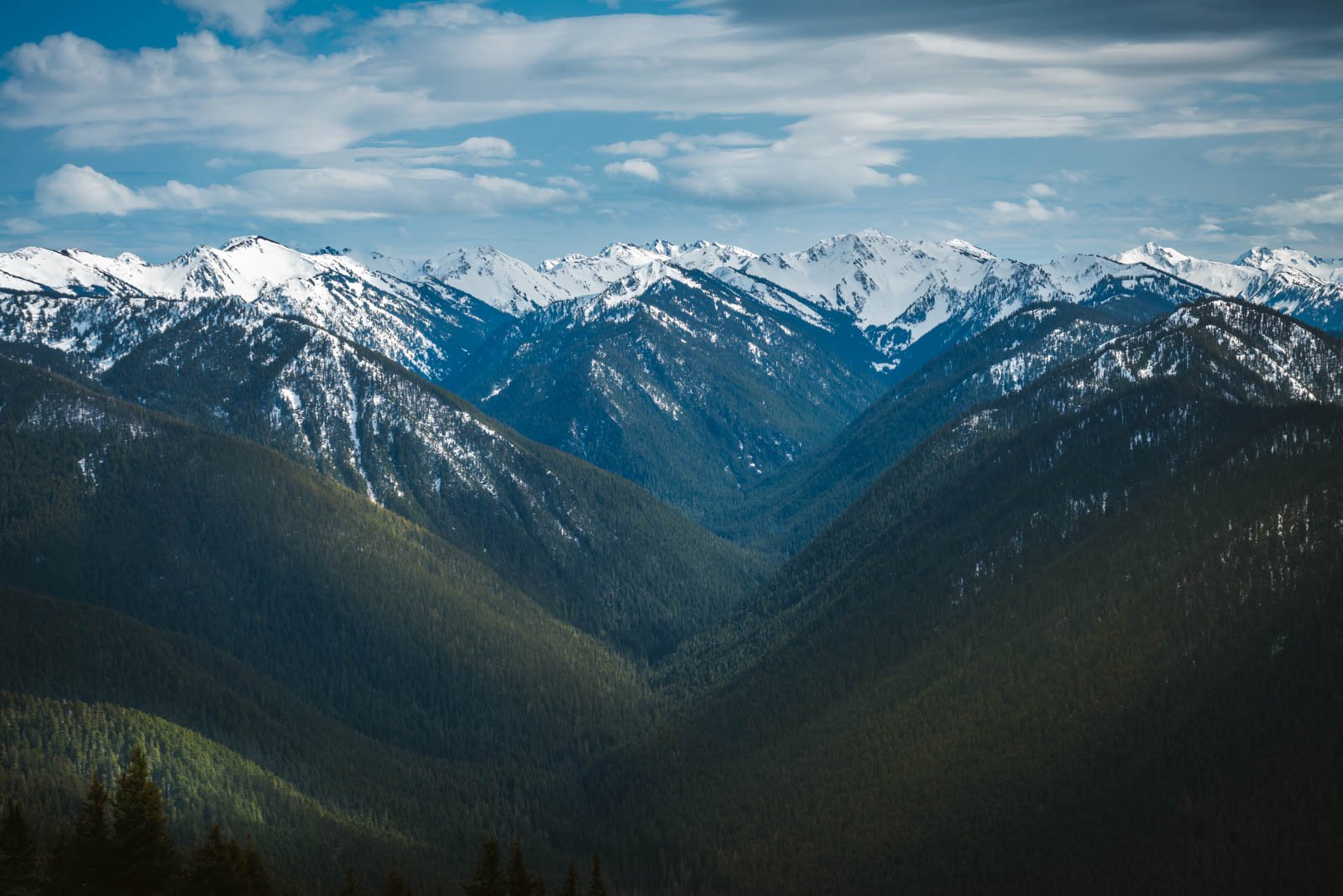 fun places to visit in August USA Olympic National Park