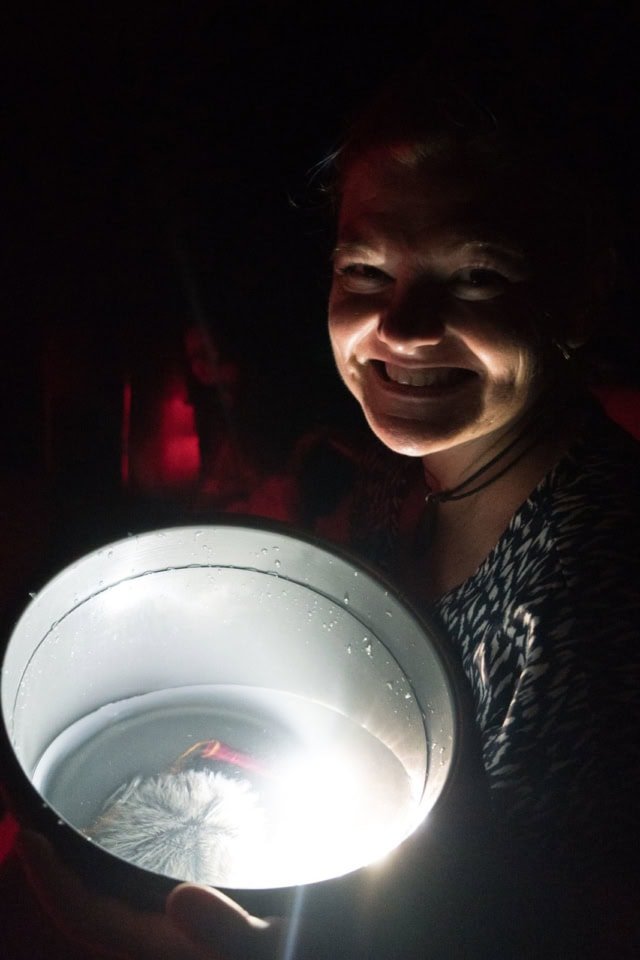 ioluminescent water glowing during a Grand Cayman Bio Bay tour
