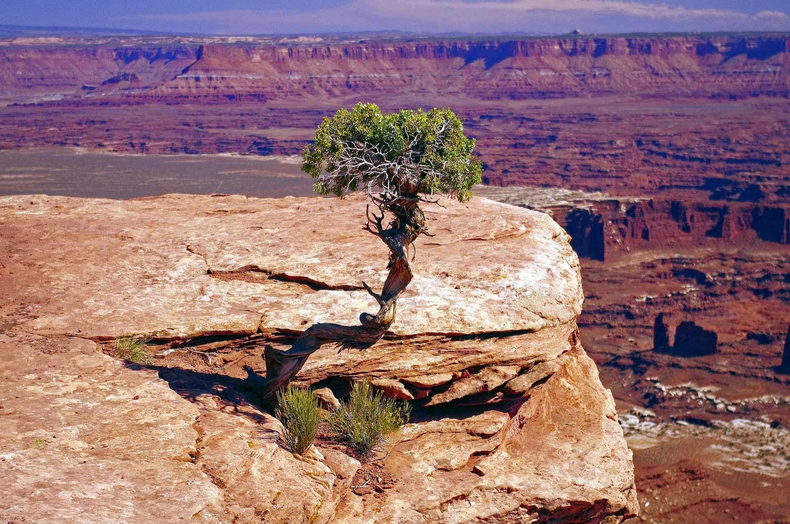 Grand View Point Trail in Canyonlands with expansive overlook at sunset