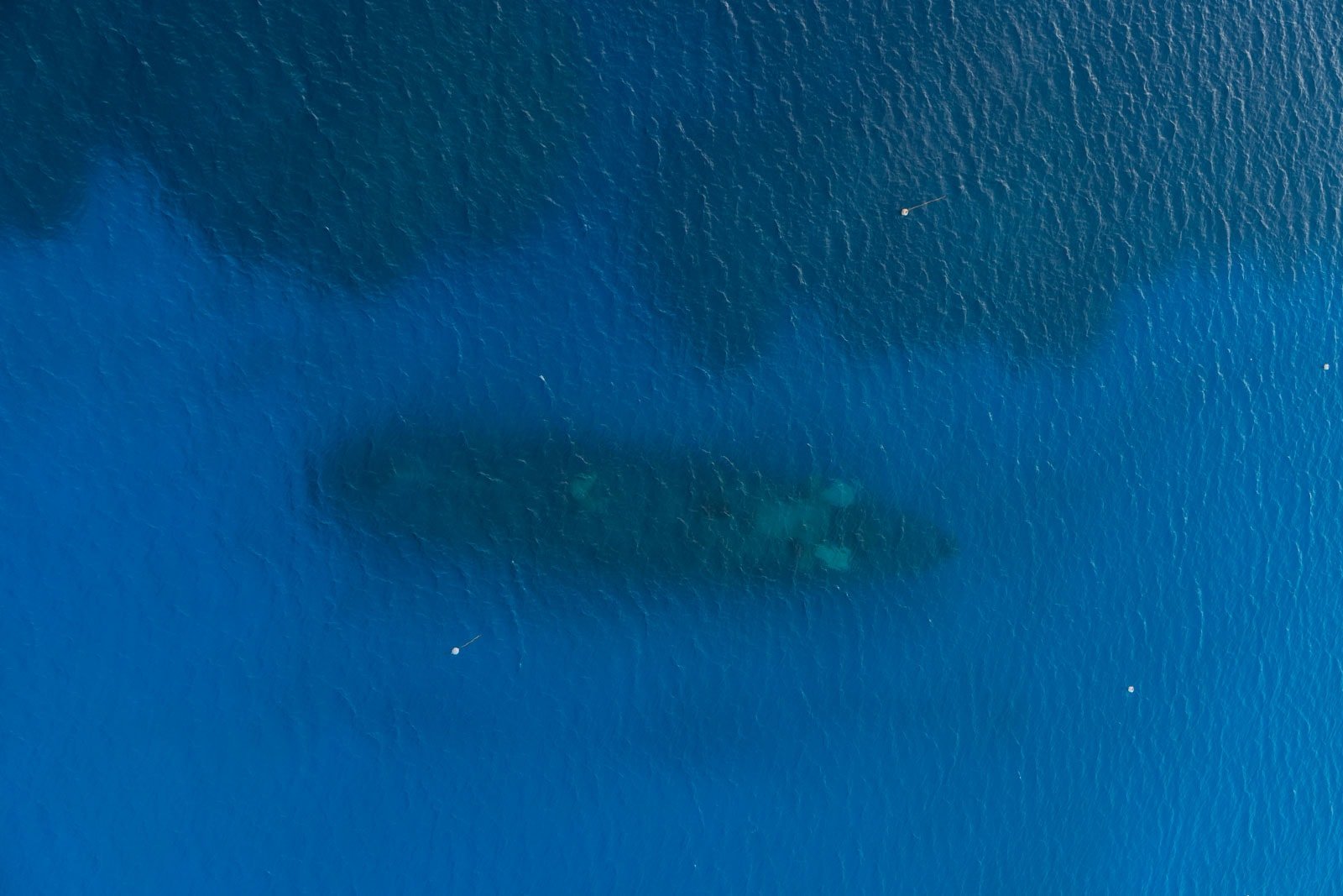Scuba diver exploring the Kittiwake shipwreck off Grand Cayman