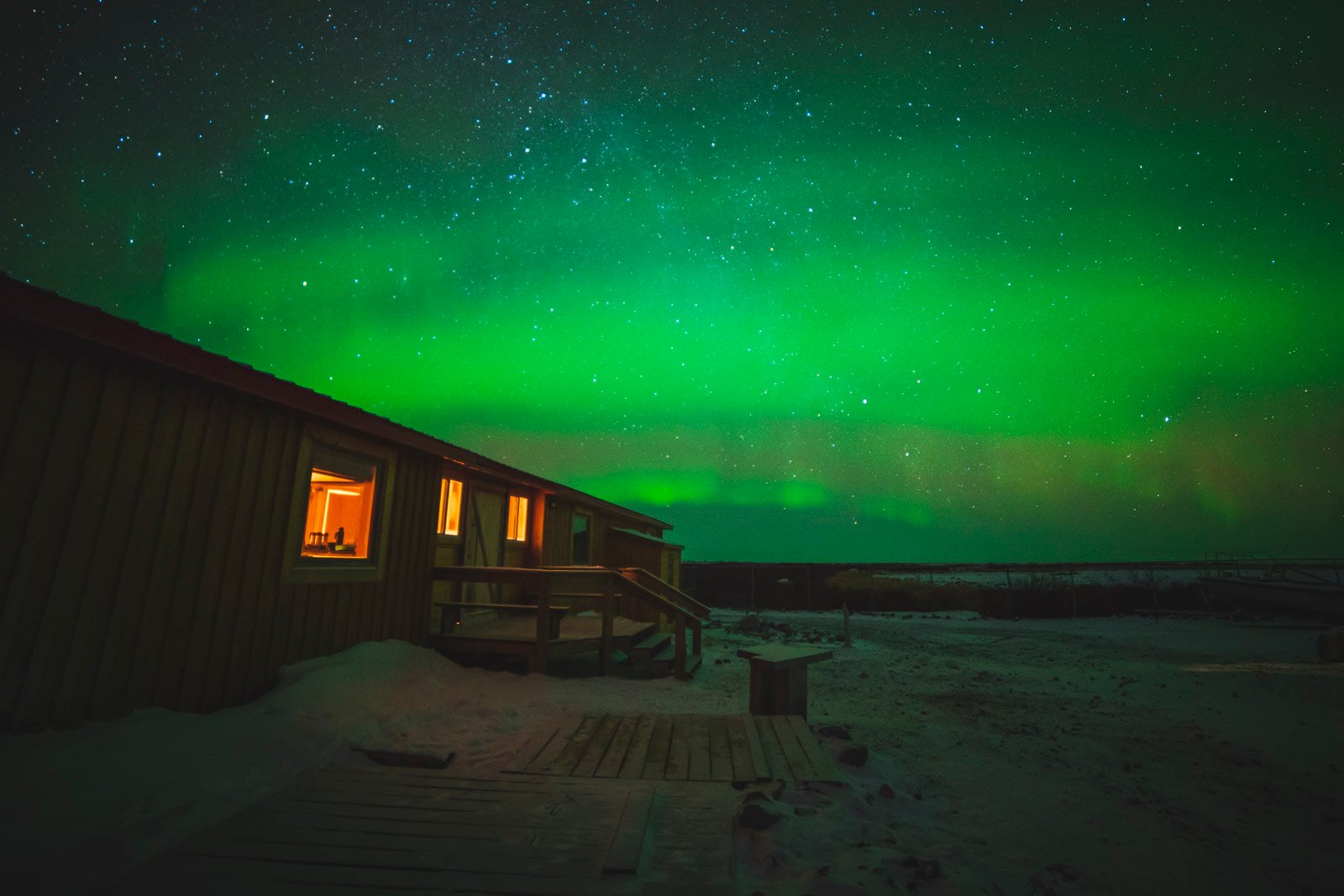 Northern lights glowing over snowy forest in Canada