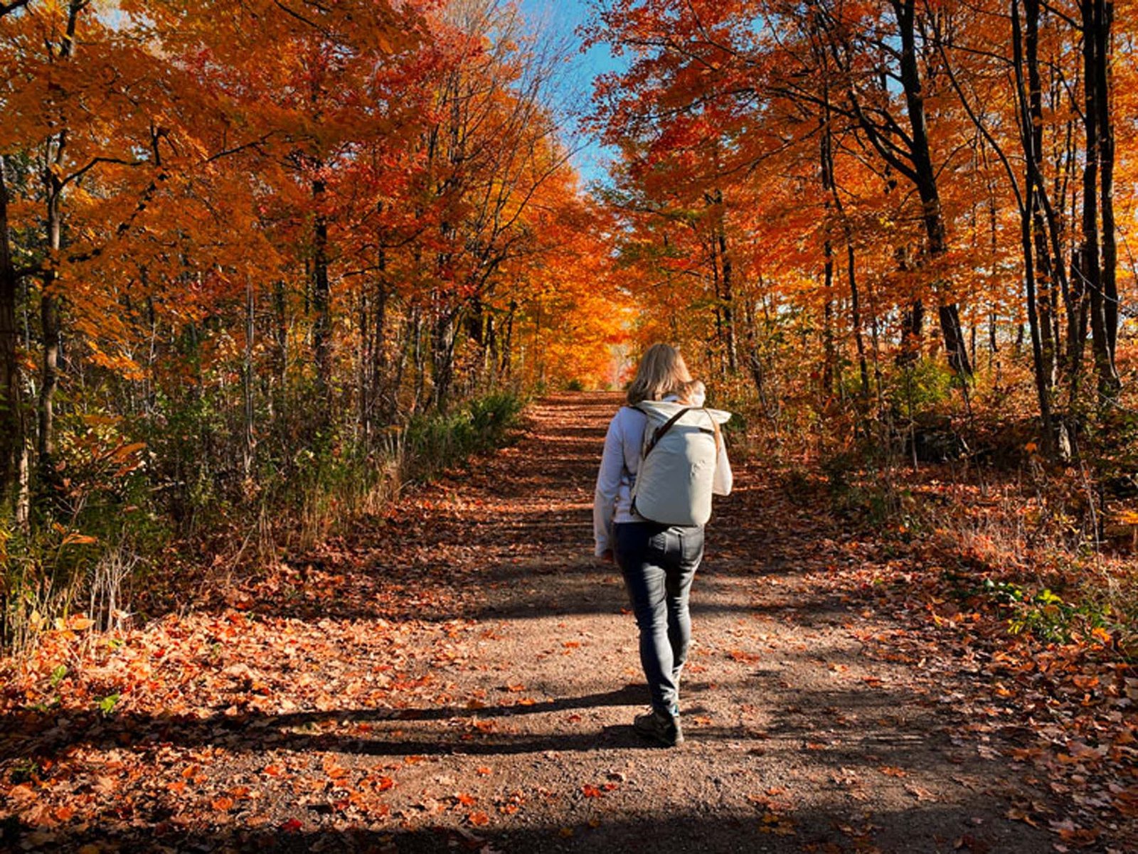 View of scenic lookout trail at Kelso Conservation Area in Milton