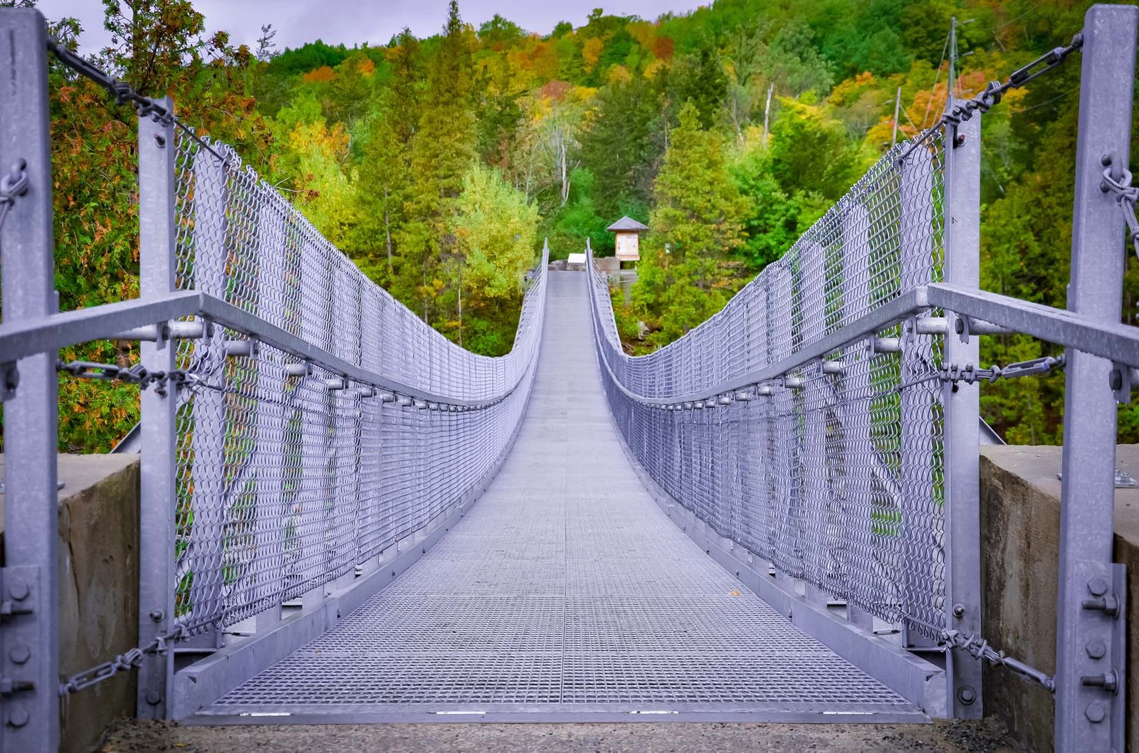 Ranney Gorge Suspension Bridge in Ferris Provincial Park