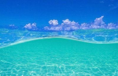 Loved Starfish Point in Grand Cayman