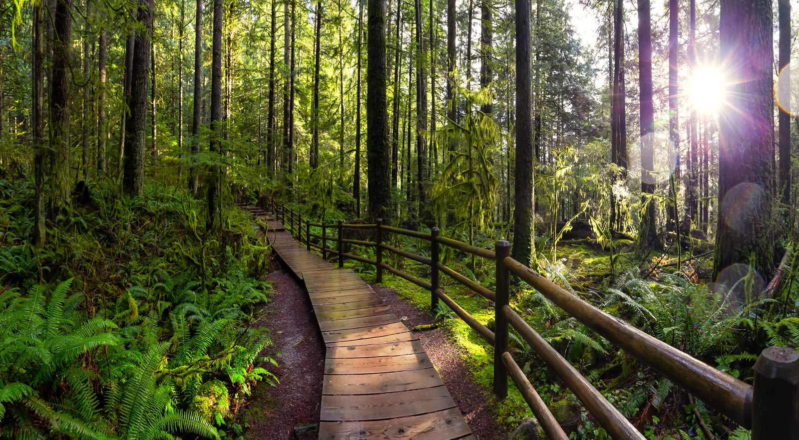 Day trips from Vancouver