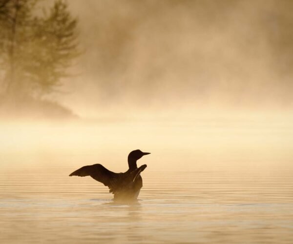 17 Best Things to Do in the Upper Peninsula, Michigan (2025 Guide)