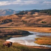 26 Best National Parks to Visit in the US (Our Favourites After 15 Years of Travel)