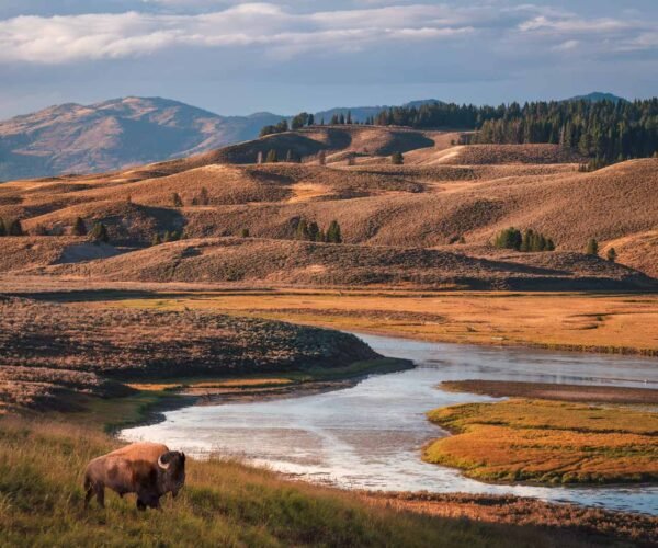 26 Best National Parks to Visit in the US (Our Favourites After 15 Years of Travel)