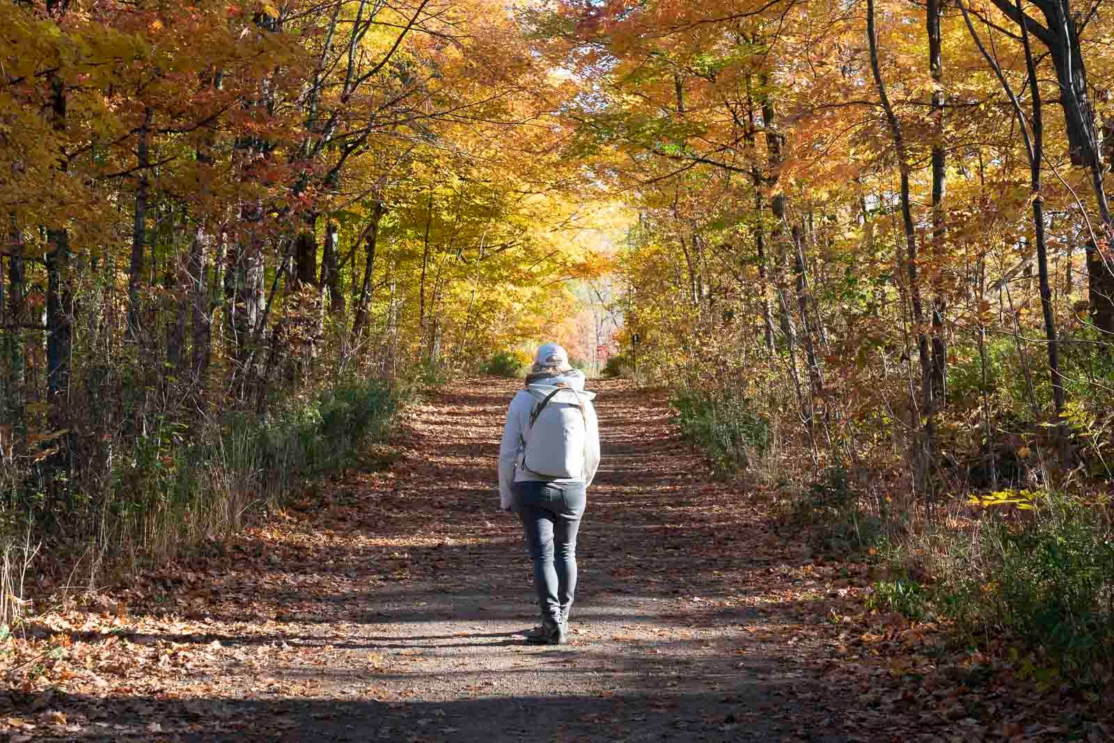 Best Places to Travel In October USA