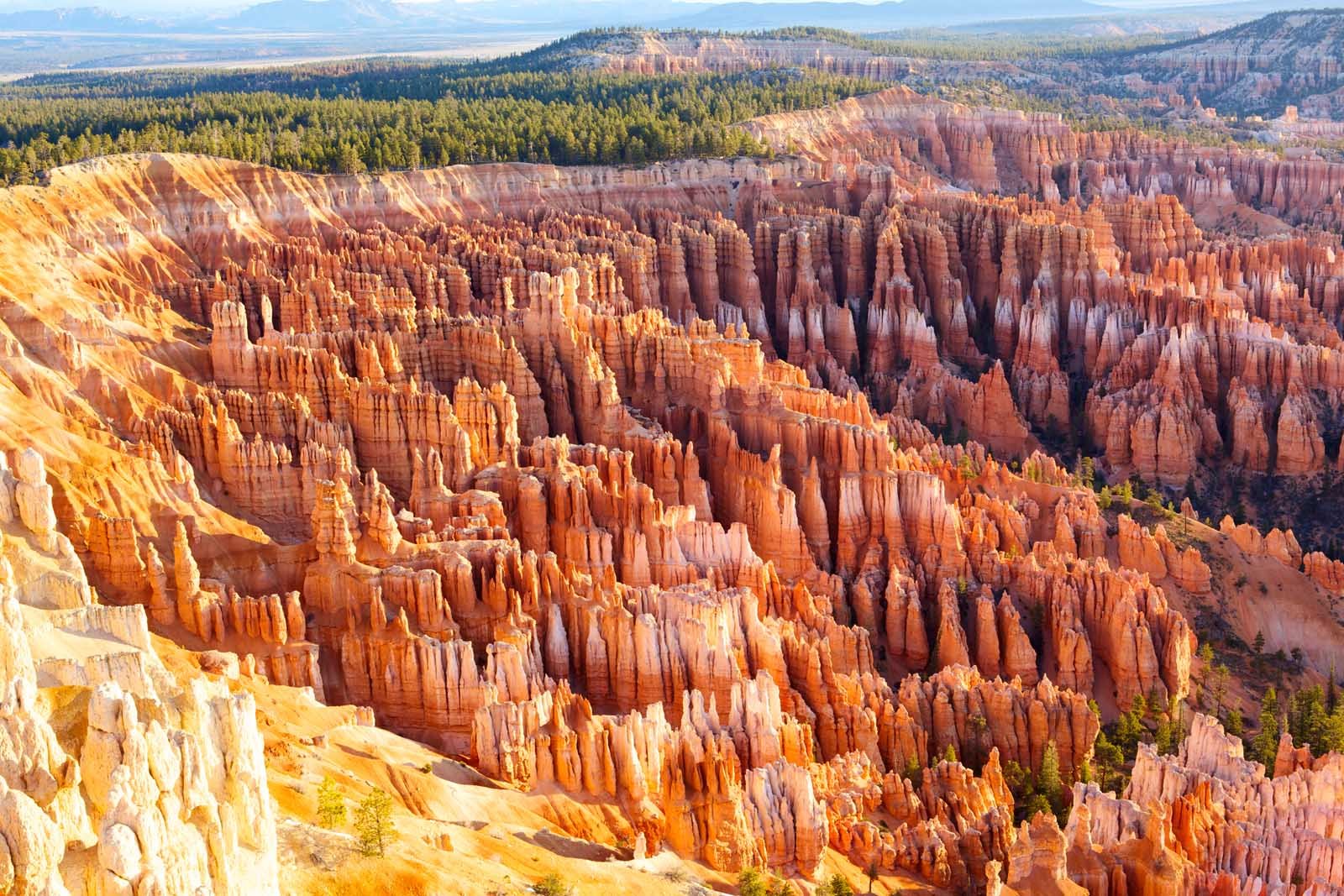 housands of unique orange and pink hoodoo formations filling the main amphitheatre in Bryce Canyon National Park.