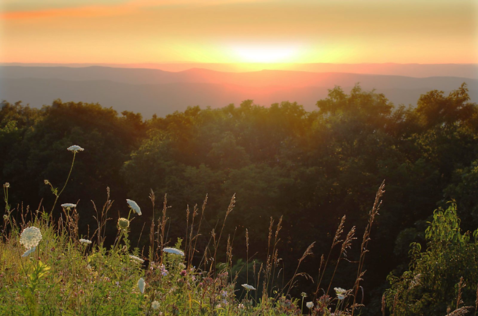Fall colours in Shenandoah National Park