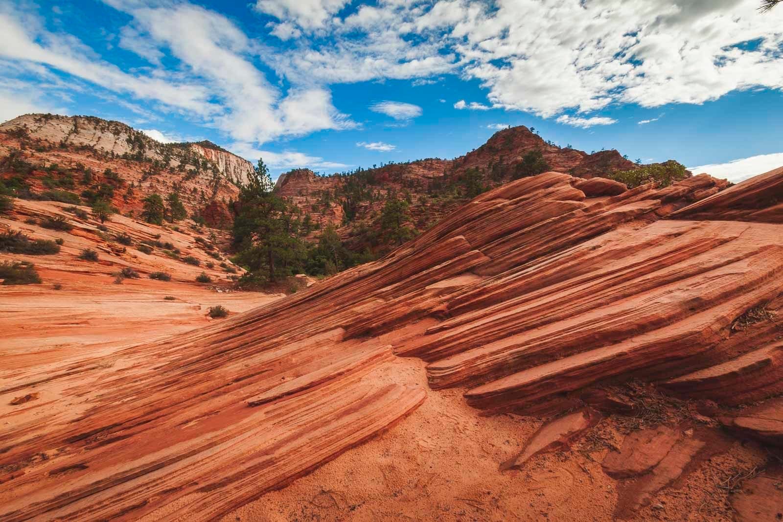 hiking the canyons of Zion National Park