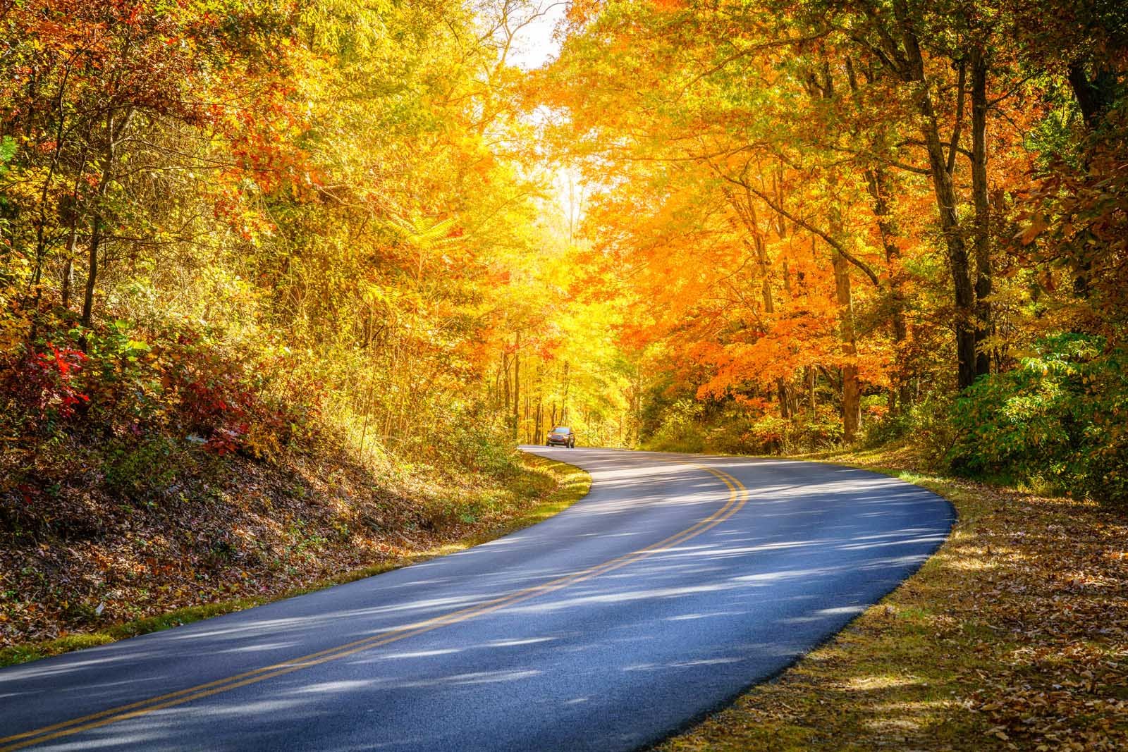 Blue Ridge Mountains skyline with vibrant fall colors near Asheville, North Carolina