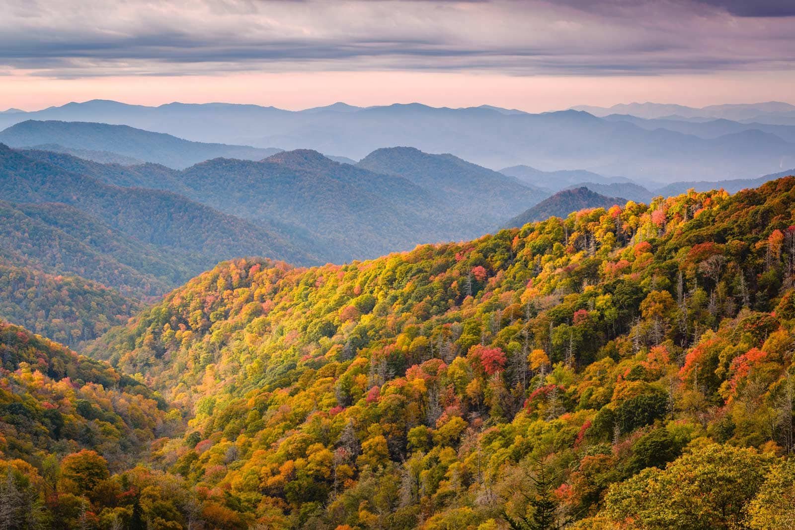 A hazy fog settling over the rolling, tree-covered Appalachian mountains in Great Smoky Mountains National Park.