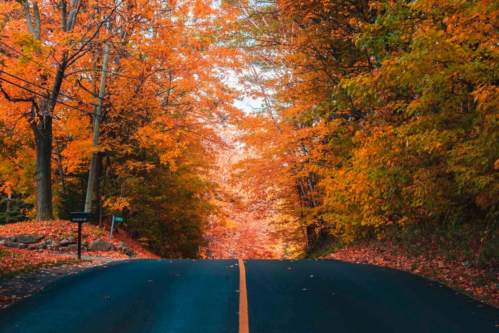 Classic colorful autumn trees in rural Vermont during peak foliage