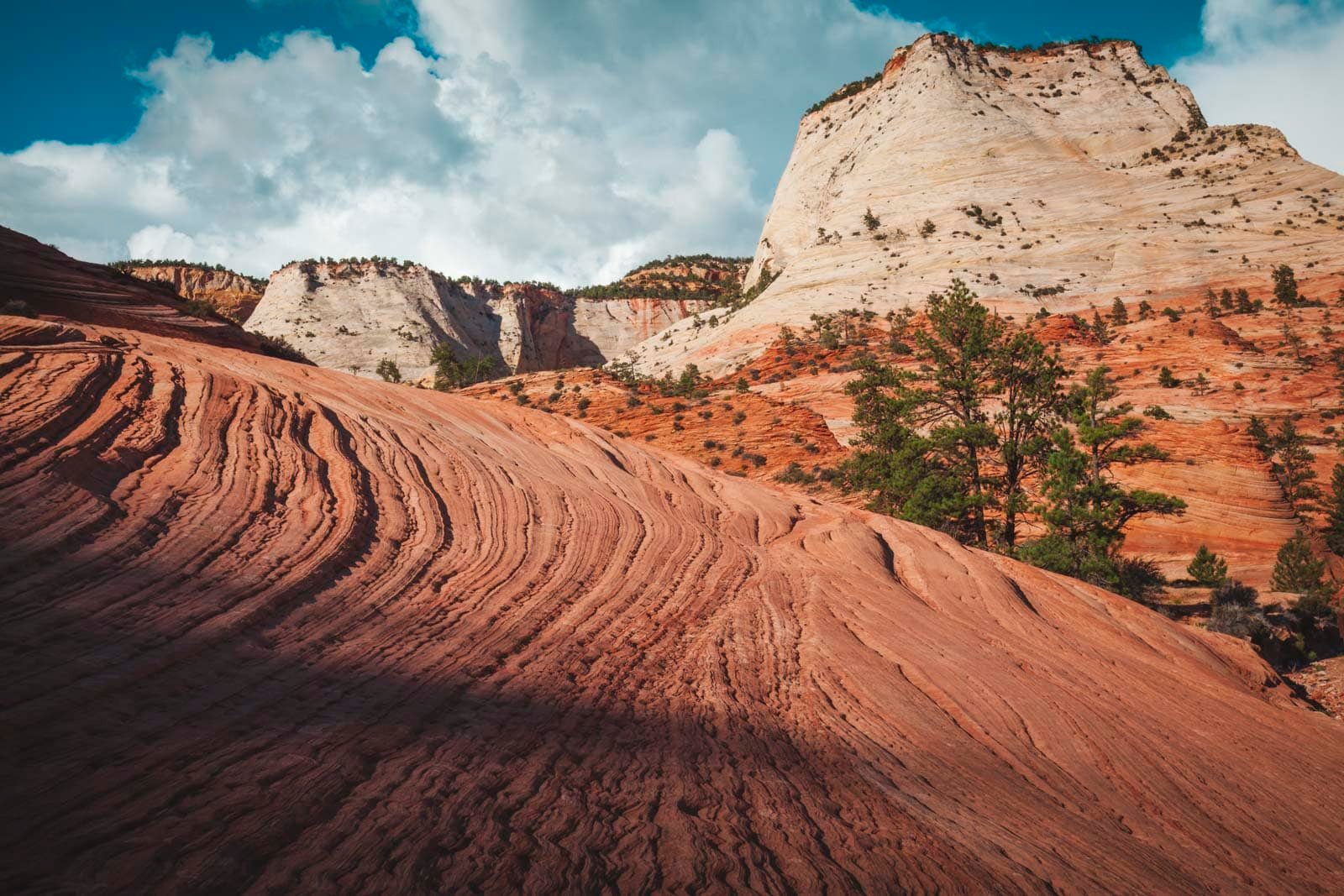 walking through golden cottonwoods in Zion National Park in October