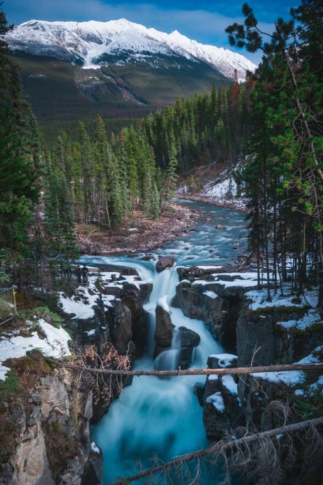 The picturesque Sunwapta Falls in Jasper National Park, with its iconic island of pine trees dividing the flow of water.